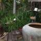 Chansor Homestay 18 By Siem Reap Homesteading, Phumĭ Trach Pôk (2) (foto 3)