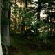 Berghotel Wintersberg, Bad Ems - Foto 7