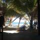 The Alpha Monkey hotel & Tree house, Tangalle