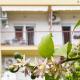 Apartments Marli, Split - Photo 1