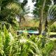 Chobe River Cottages, Kasane (fotografie 10)