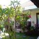 Darta House, Ubud - Fotografie 9