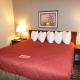 Wingate by Wyndham Canton-Hall of Fame, Canton (photo 9)