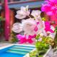 Mia Guest House, Legian (fotografie 7)