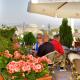 White House Hotel Istanbul, Istanbul - Foto 9