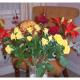 Queens Road Rental - Winchester Accommodation, Winchester (fotografie 10)