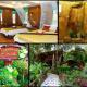 Khaosok Rainforest Resort, Parco Nazionale di Khao Sok (foto 7)
