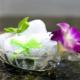 Hoian Sincerity Hotel & Spa, Hoi An - Fotografie 8