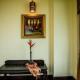 TTC Imperial Hotel, Hue (fotografie 5)