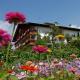 Pension Laurin, Schenna (fotografie 7)
