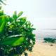 Mallika Guest House, Weligama (zdjęcie 6)
