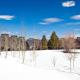 Red Pine #B1, Park City - Foto 6