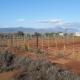 Natures Rest Lapa, Oudtshoorn (foto 2)