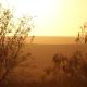 Natures Rest Lapa, Oudtshoorn (foto 10)
