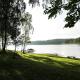 Asvejos slenis, Sužionys (zdjęcie 3)