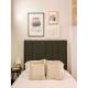 Cozy Downtown Loft, Knoxville (photo 9)