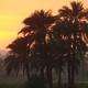 Hermina Guest House, Luxor - Foto 8