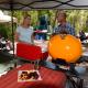 WA Wilderness Camping Experience, Pemberton (fotografie 6)