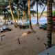 Scorpion Hill Lodge, Busua (Foto 7)