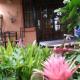 Cherry Tree Cottage B&B Linden Johannesburg - Fotografie 7