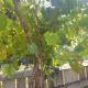 Lovely countryside cottage, Arcani - 写真 7