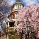 Wilson House Bed & Breakfast Baltimore - Fotografie 1