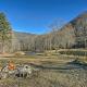 Emerald Gate Farm Cabin w/ On-Site Fishing Pond!, Waynesville (Foto 7)