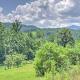 Charming Fox Den Cabin in Whittier with Hot Tub!, Whittier (foto 2)