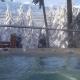 Deer Ridge B&B, Golden (foto 7)