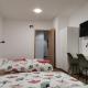 PUBYLAND ROOMS & APARTMENTS, Rogatec (foto 5)