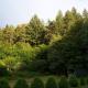 Ferienwohnung am Pfaffenfels, Schönau - Foto 7