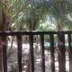 The Alpha Monkey hotel & Tree house, Tangalle (photo 5)