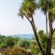 Mas Du Roc Bed & Breakfast Grasse - Fotografie 3