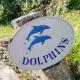 Dolphins Salcombe - Zdjęcie 4