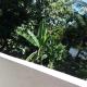 Ishitha Homestay, Tangalle (photo 4)