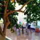 Sunny orange garden apartment in central Lisbon, Lisbon - Photo 1