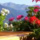 Waldoase, Scena (foto 7)