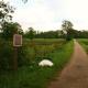 Onder de Linde, Rust, Natuur en Privacy, Benneveld (foto 6)