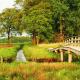 Onder de Linde, Rust, Natuur en Privacy, Benneveld (foto 8)