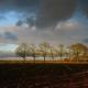Onder de Linde, Rust, Natuur en Privacy, Benneveld (foto 9)