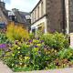 Cobbler's Cottage, Dunblane (foto 2)