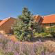 Bright Ruidoso Condo with Deck and Golf Course Views!, Ruidoso (fotografie 3)