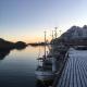 Lofoten Sea Lodge, Sennesvik - 写真 8