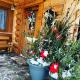 UDany Weekend, Ustrzyki Dolne (foto 10)
