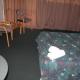 Greenview Motel Rotorua - Photo 2