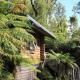 Rainforest Retreat, Franz Josef - Fotografie 10