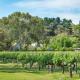 McLaren Vale Getaways, McLaren Flat - Fotografie 6