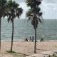 Spectacular Beach View! Corpus Christi - Foto 10