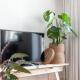 Gorgeous And Stylish Place For Two In Hip West!, Amsterdam (Foto 10)