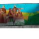 Casa das conchas 2, Buarcos e São Julião (Foto 8)